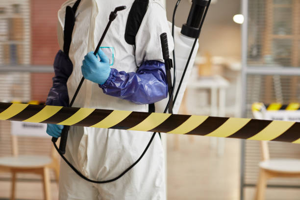 Professional Sewage Cleanup technician working in Templeton, CA